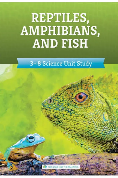 TGTB Reptiles, Amphibians, and Fish 3pc Set 