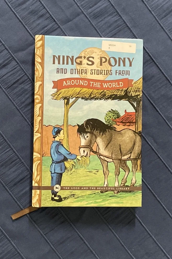 Ning's Pony And Other Books from Around the World