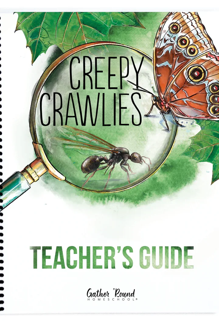 Creepy Crawlies
